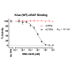 Kras (WT)/cRAF/CYPA/Inhibitor Assay Kit 